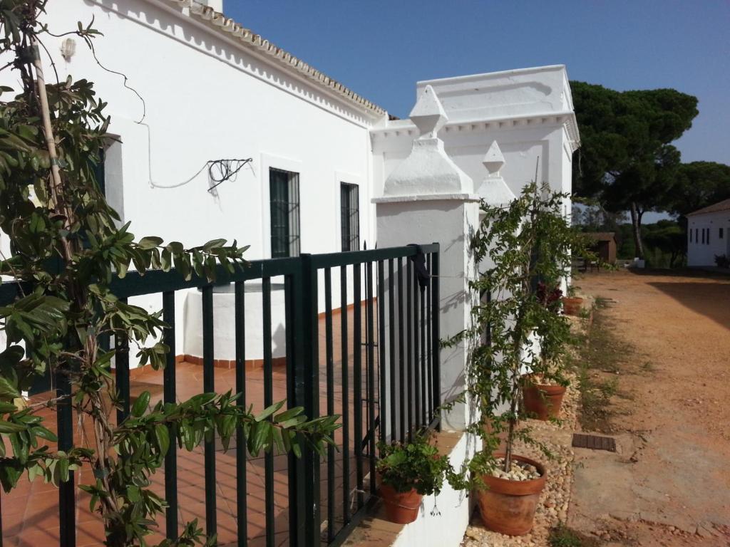 Albergue Rural Territorio Del Gato El Rompido Exterior photo